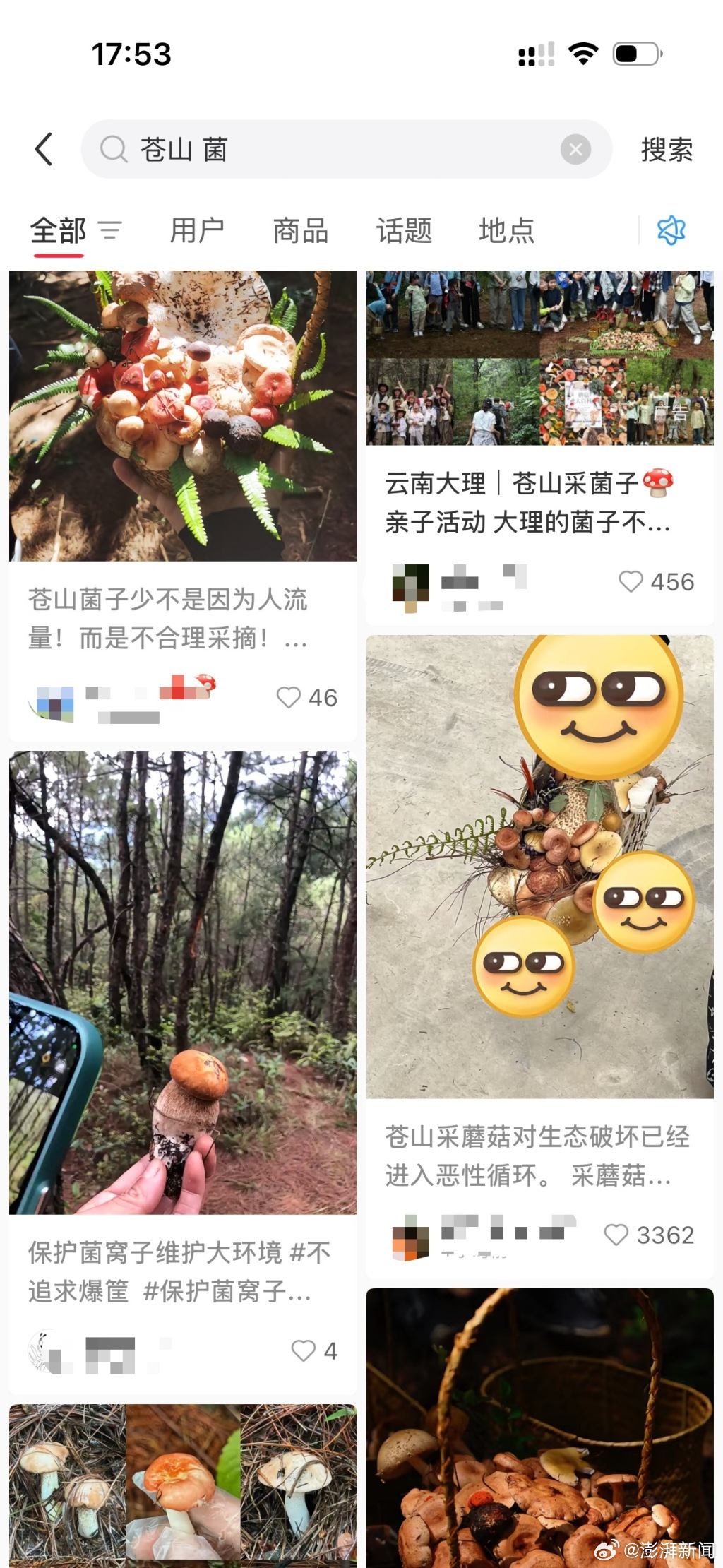 大理野生菌被指遭游客掠夺式采摘:有人掘地三尺找菌子