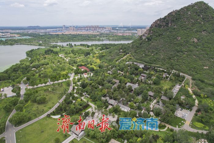 一年四季 泉在济南丨华山历史文化湿地公园尽显鹊华风貌