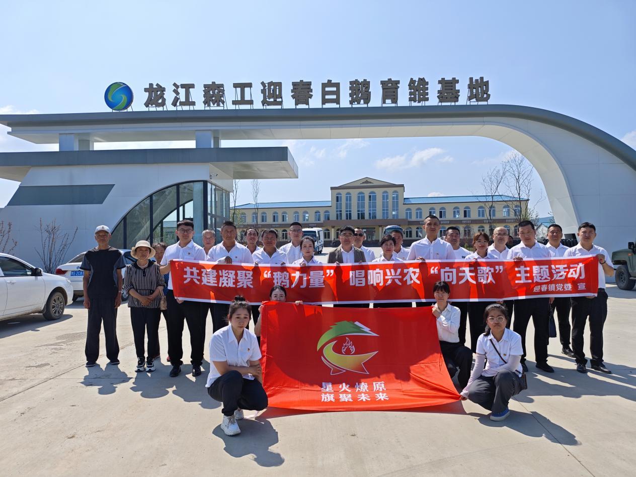 迎春林业局白鹅育雏基地