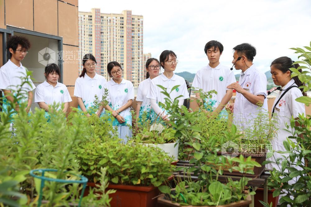 2025年7月1日，在江西省吉安市萬(wàn)安縣中醫(yī)院百草園，中醫(yī)專家正在給學(xué)生講解中醫(yī)藥知識(shí)。