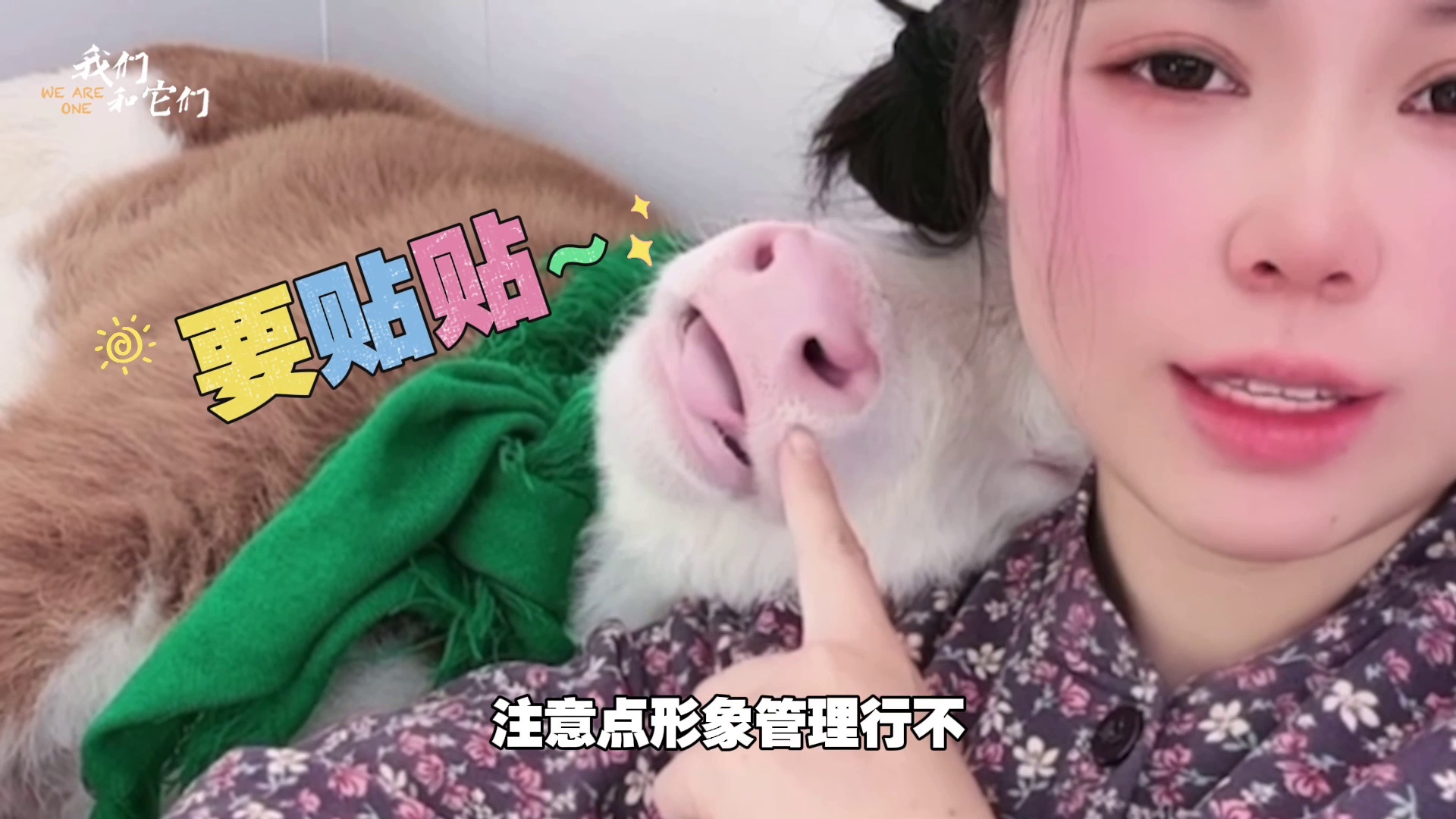 女孩返乡创业不被看好 谁料家中饲养的小牛成创业伙伴