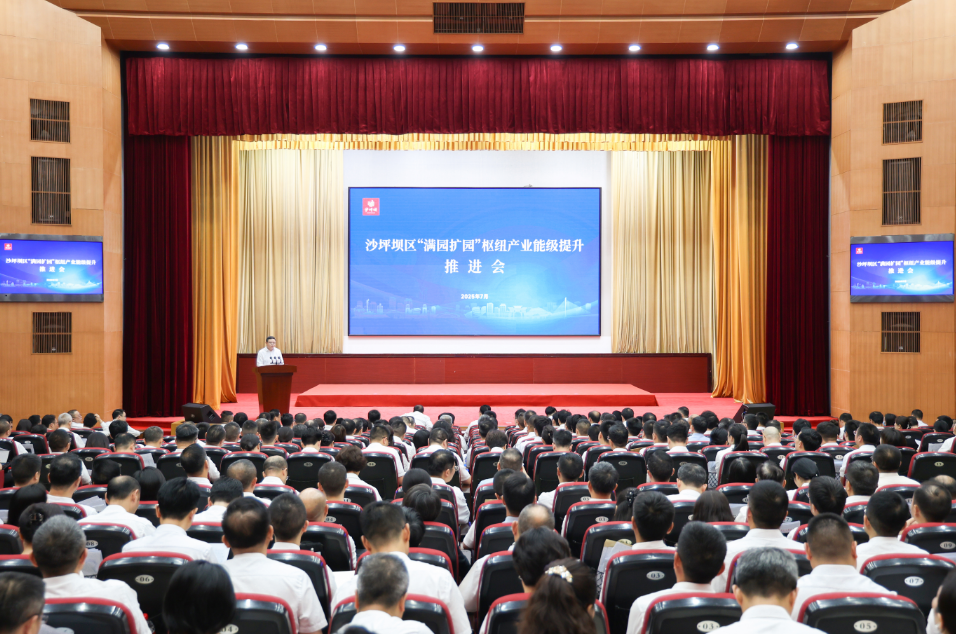 沙坪坝区召开“满园扩园”枢纽产业能级提升推进会。文胜/摄