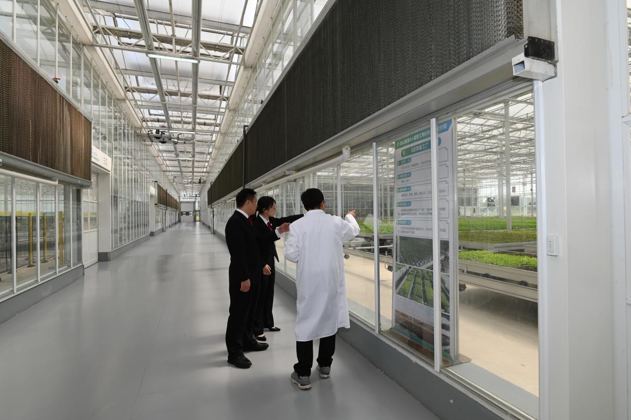 花桥法庭服务智慧农业发展