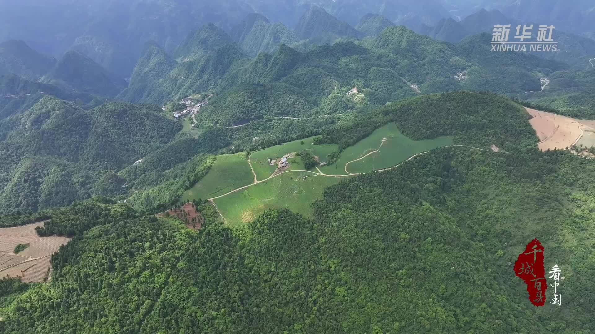千城百县看中国｜湖北鹤峰：金黄炸土豆 丰收的滋味