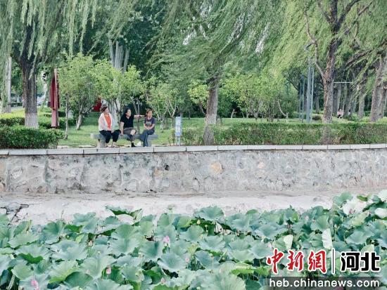 图为游客在欣赏荷花。 孙雨蝶 摄