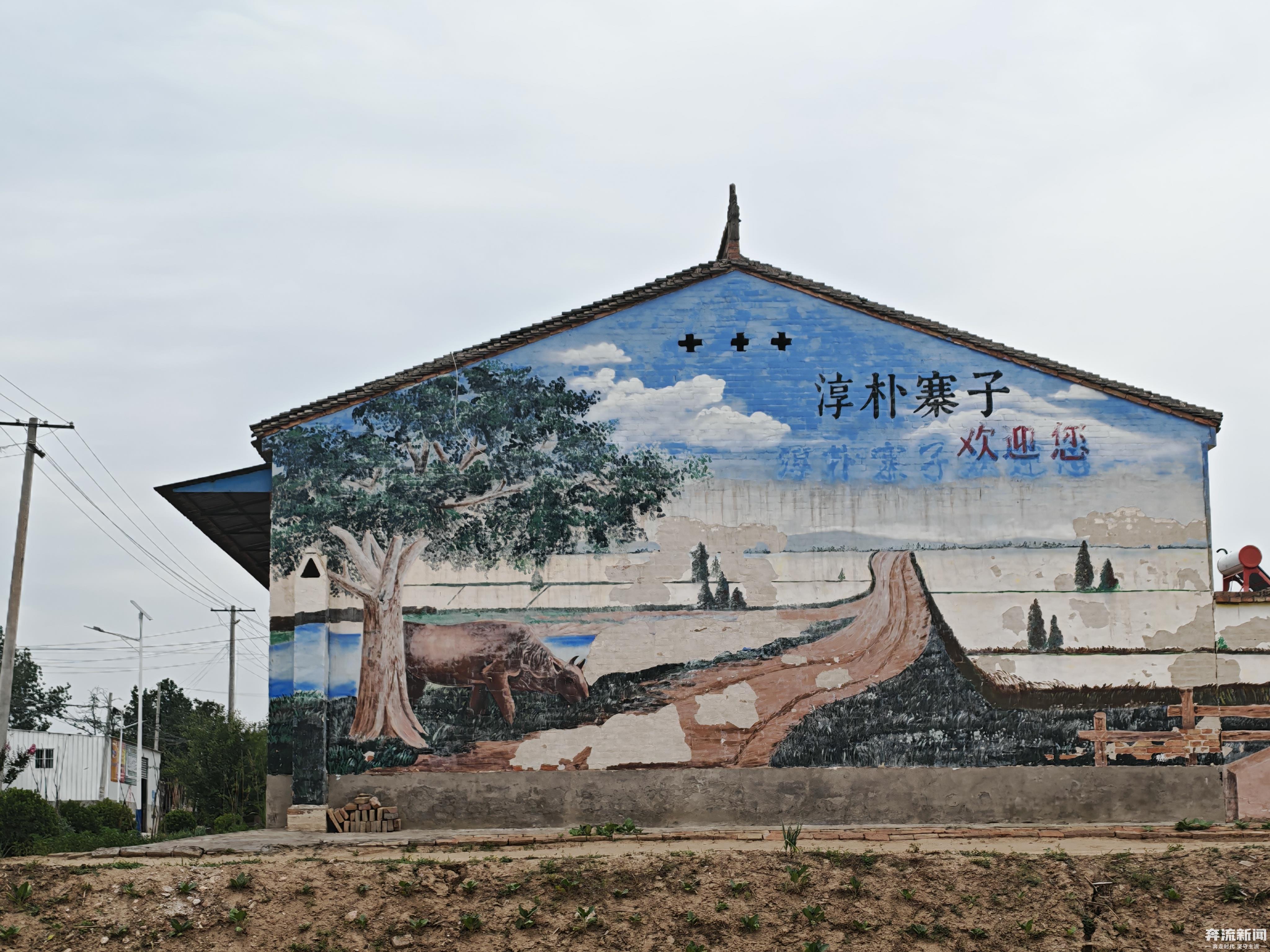 合作社涉嫌违约　菜农90座大棚遭断水几近绝收