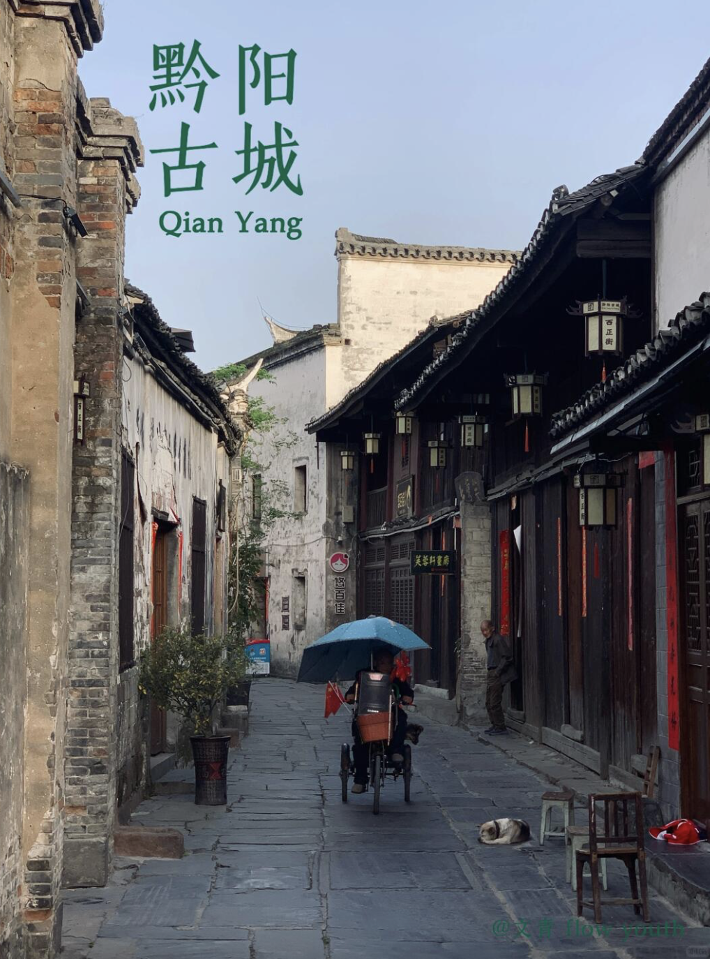 小红书@林愔.