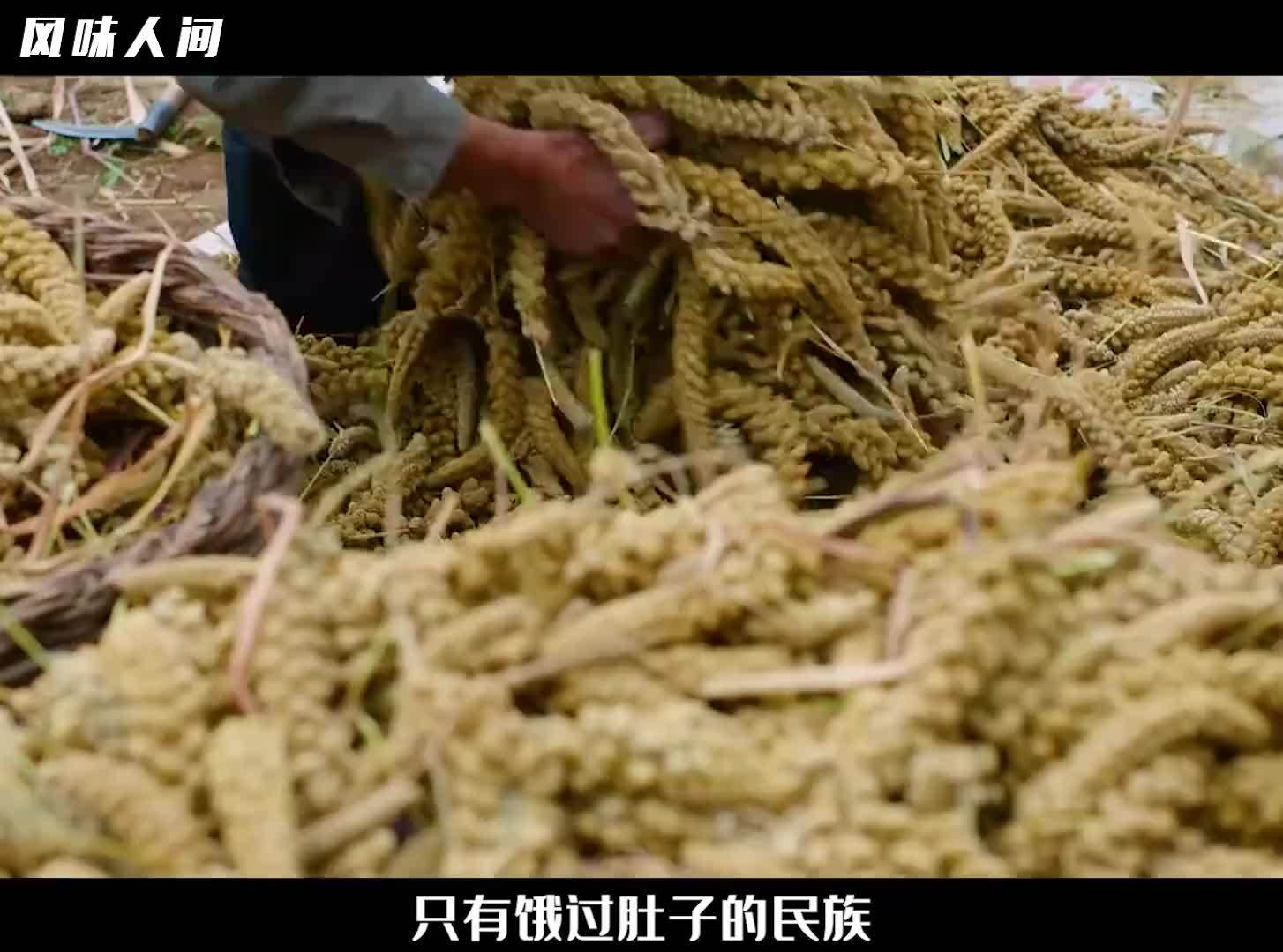 只有饿过肚子的民族，才知道这筐粟米的含金量