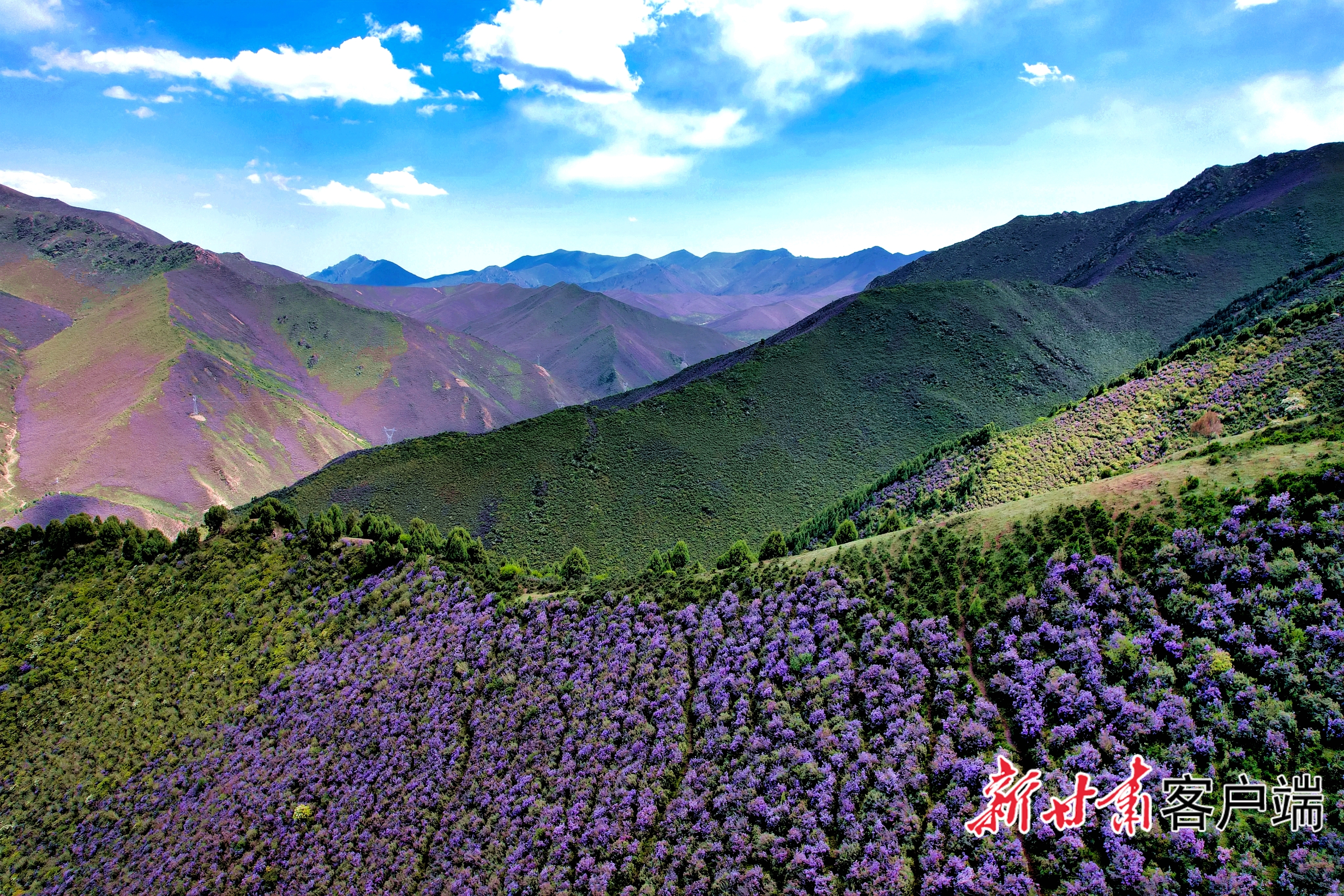 色彩斑斓的喜鹊岭