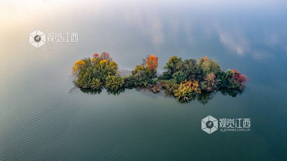 大江新闻-视觉江西 伍荣达 摄