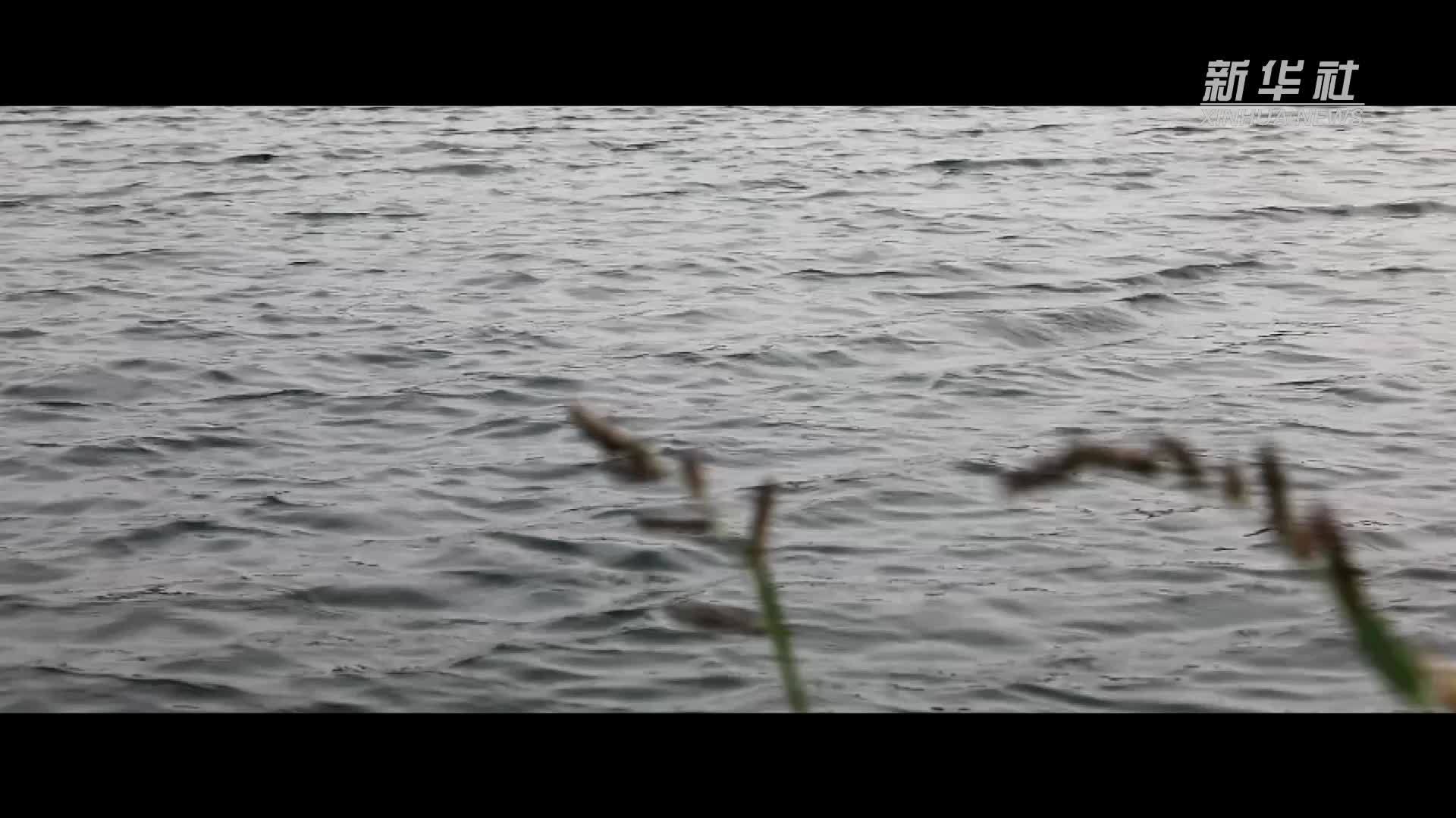 历史的回响｜遵义会议精神永放光芒