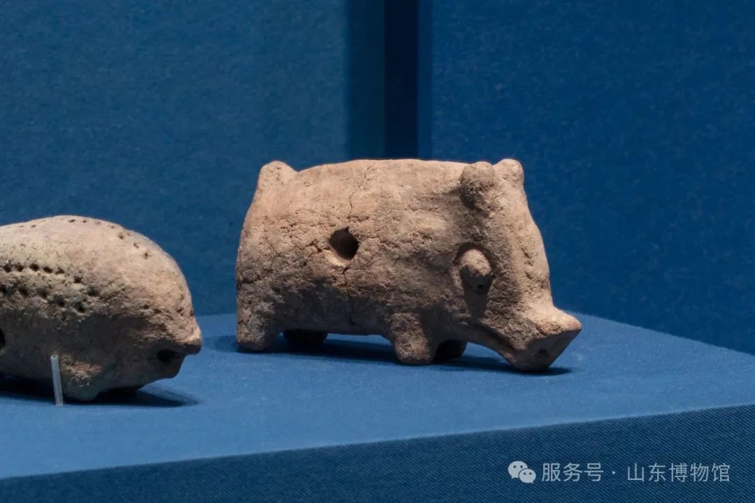 微信图片_20250624165150.jpg