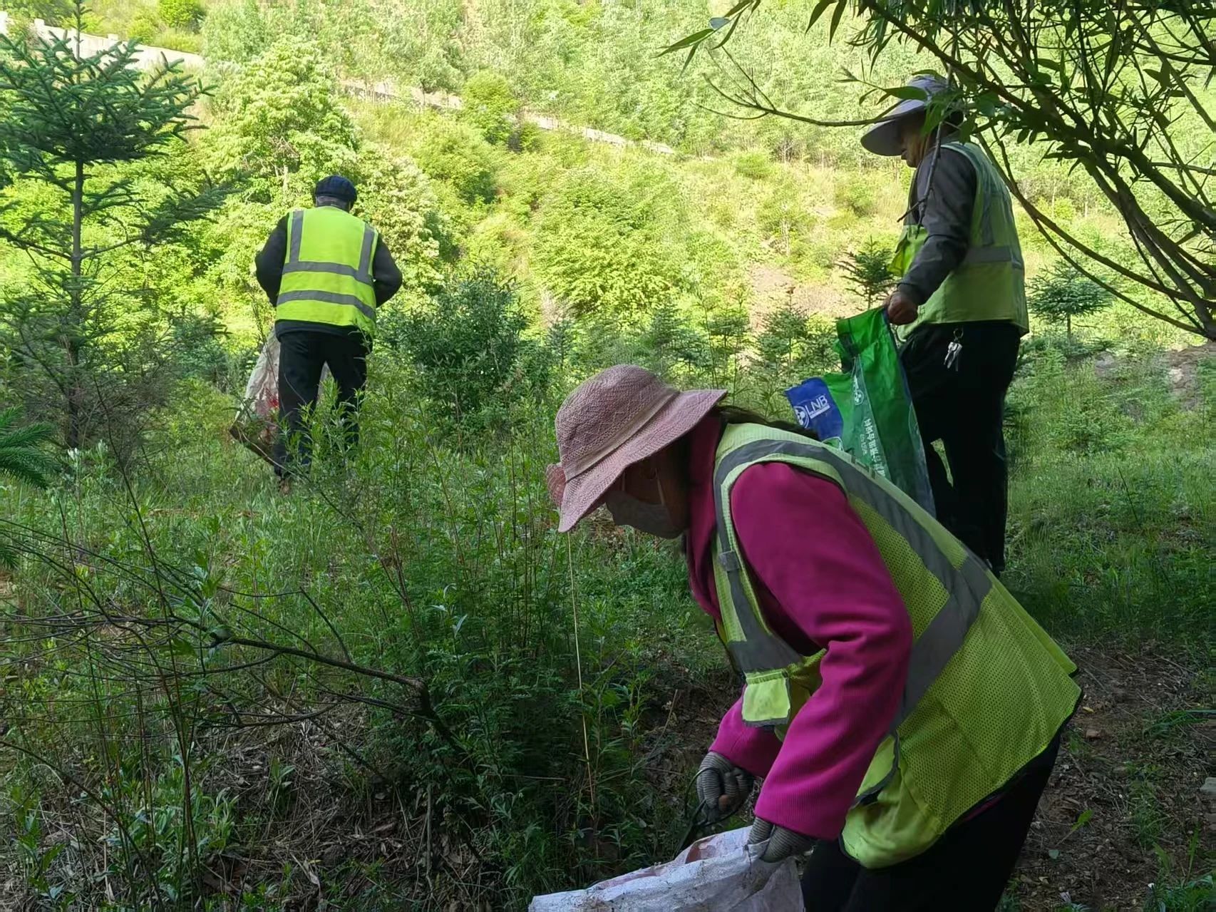 “洁”尽全力擦亮人居环境　华亭这儿咋让颜值持续在线