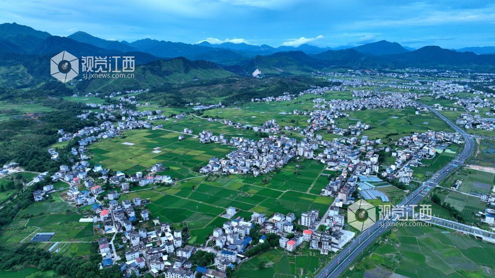 2025年7月1日清晨,阳光洒落江西吉安市遂川县泉江镇乡村,四好公路如银带蜿蜒,串起错落有致的农舍与广袤绿田,远处青山含翠,共同绘就乡村振兴的诗意长卷,满溢蓬勃朝气与希望 。