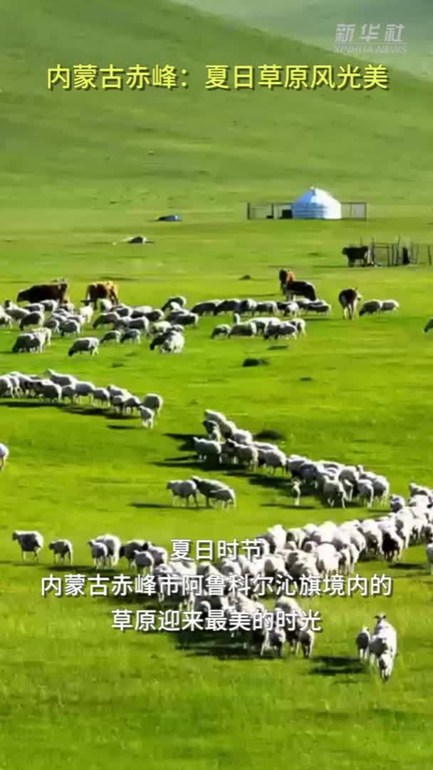 内蒙古赤峰：夏日草原风光美