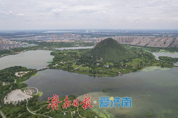 一年四季 泉在济南丨华山历史文化湿地公园尽显鹊华风貌