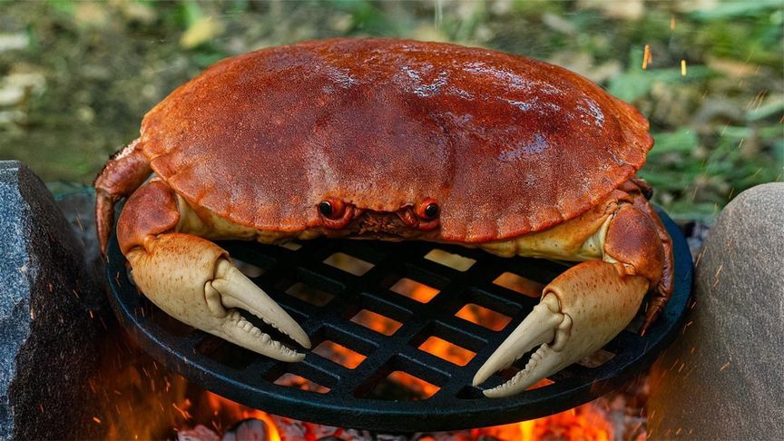 野外最好的螃蟹BBQ，鲜嫩蟹肉裹上培根，熏烤绝味的蟹肉卷