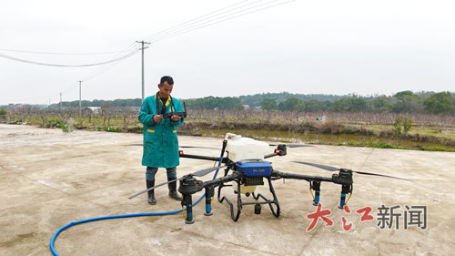 吉安市泰和县上模乡，农技人员正在设定植保无人机参数、路线，准备起飞喷洒果树的叶面肥。大江网视觉江西 高科峰 摄