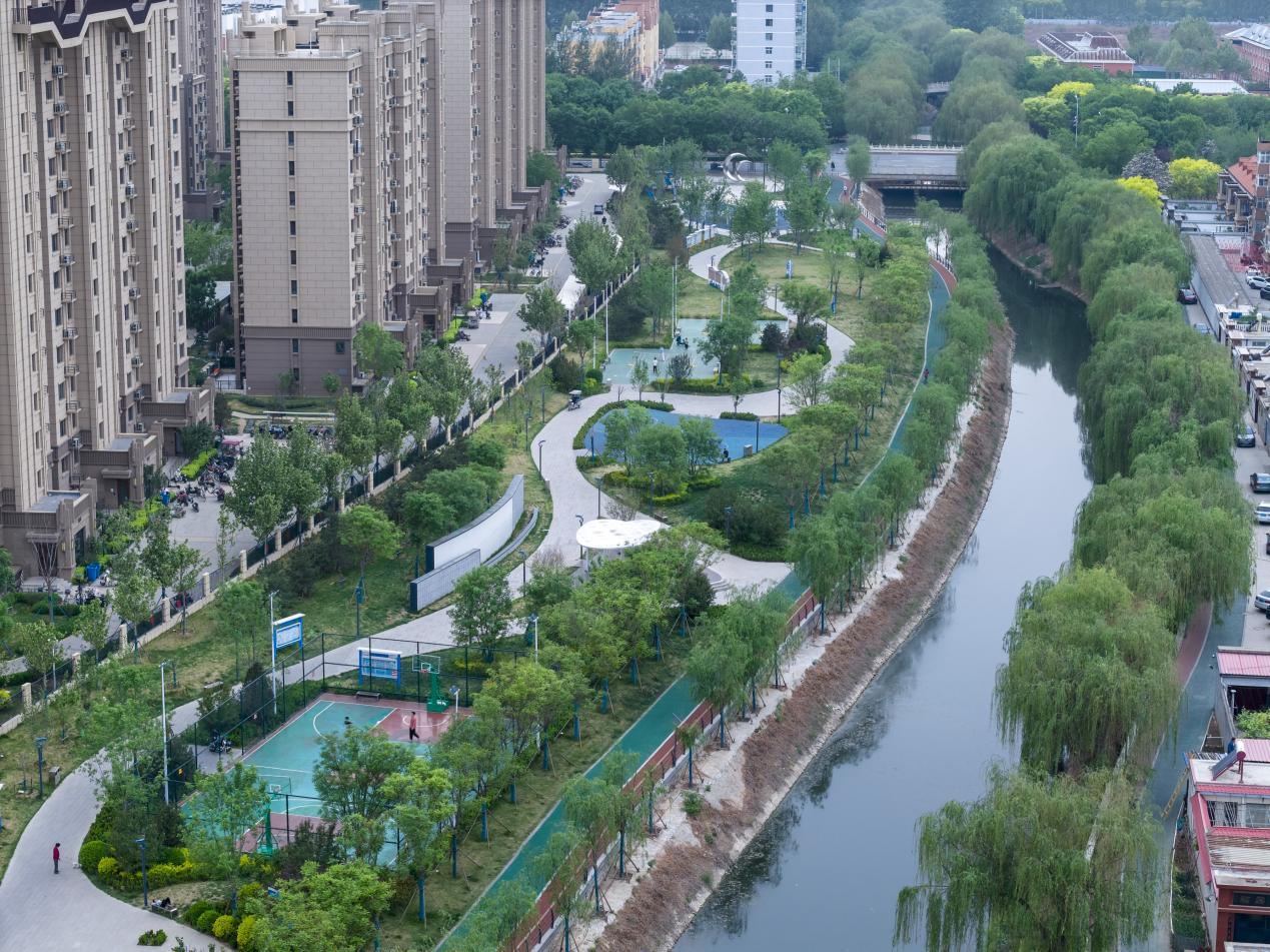 白龙河风景。王韬 摄
