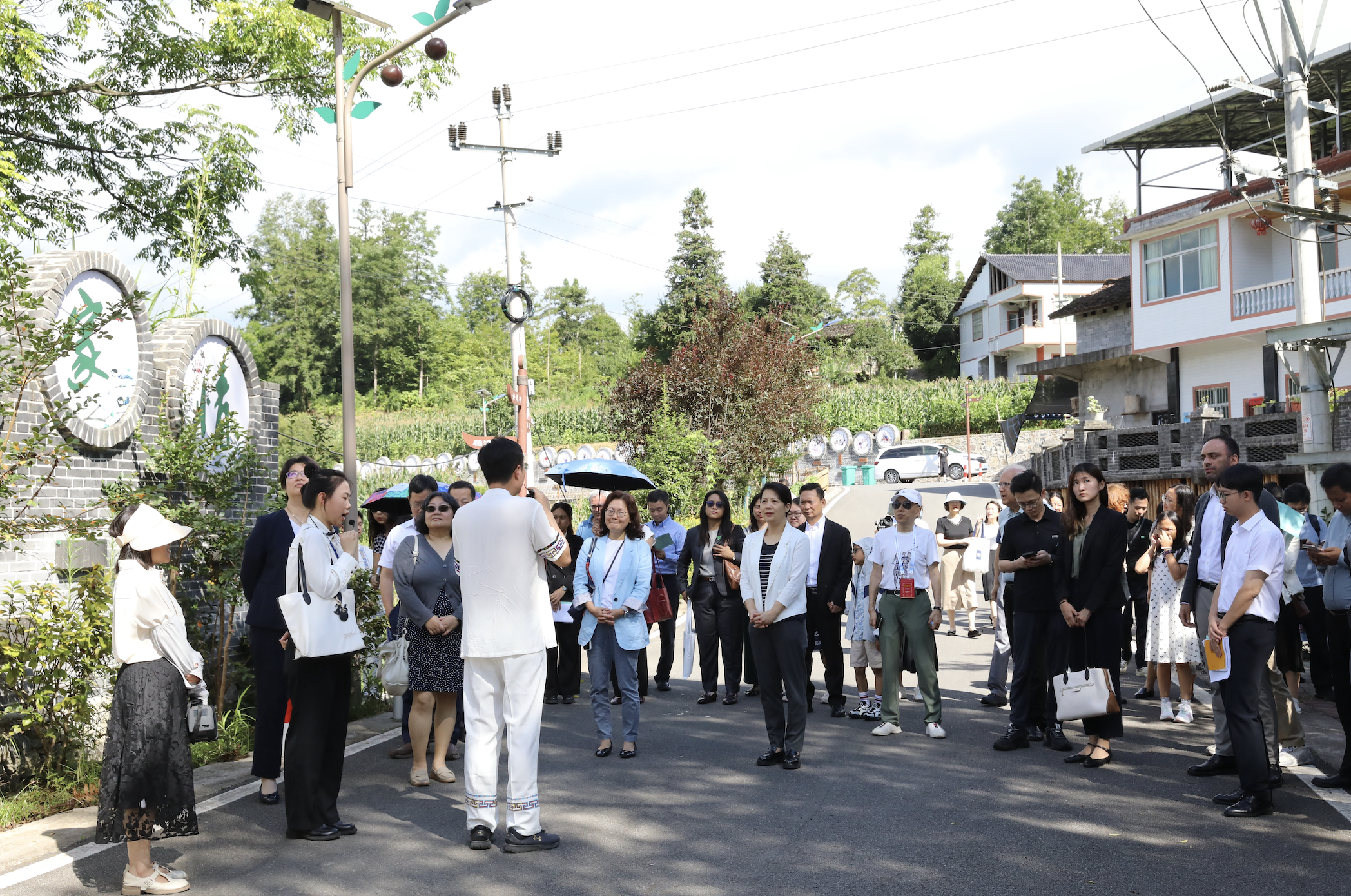 嘉宾参观善感乡石盆村。主办方 供图