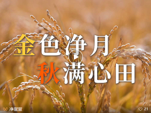 点击图片打开视频
