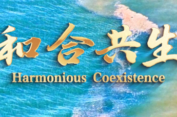 宣传片：《和合共生》