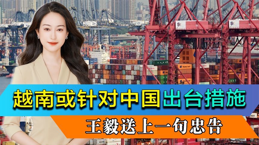 越南或针对中国出台措施，王毅会见越南副总理，送给对方一句忠告