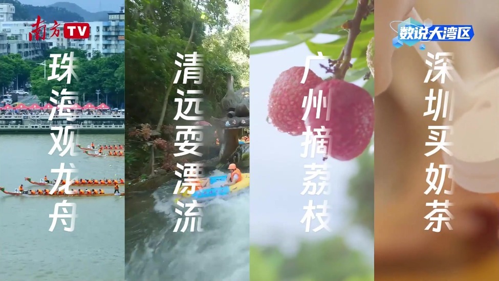 286万辆次通关背后：大湾区人的生活半径与身份认同双提升｜数说大湾区
