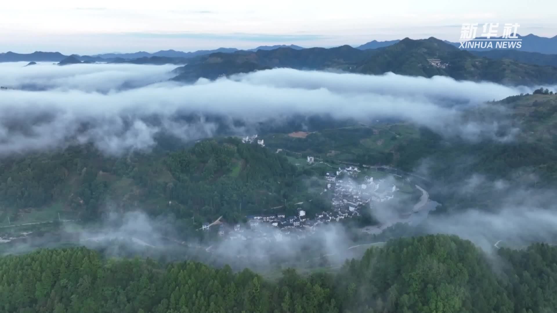 安徽歙县：花海遇云海  黛色山峦如水墨画卷