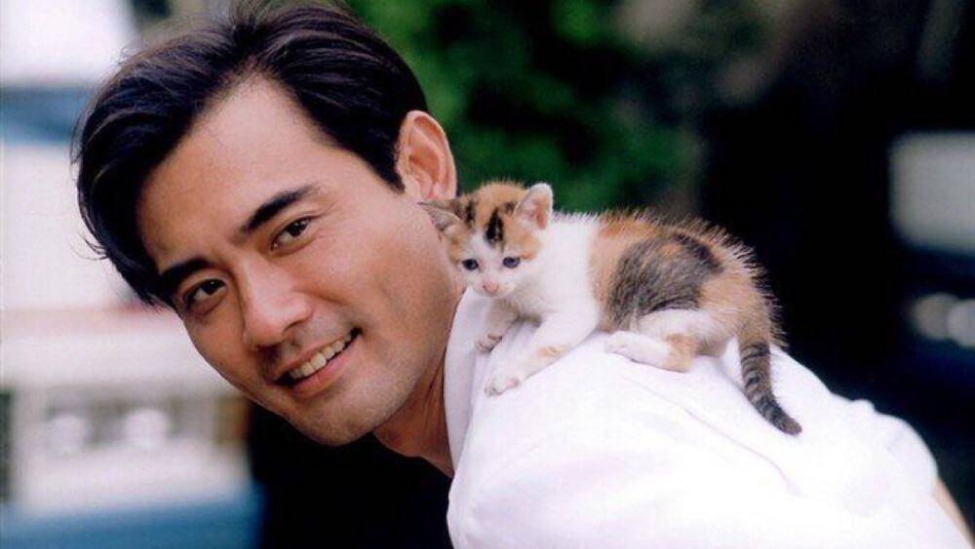 赵文煊：周迅、陈红对他一见倾心，未婚未育，现在在乡下养猫种花封面图