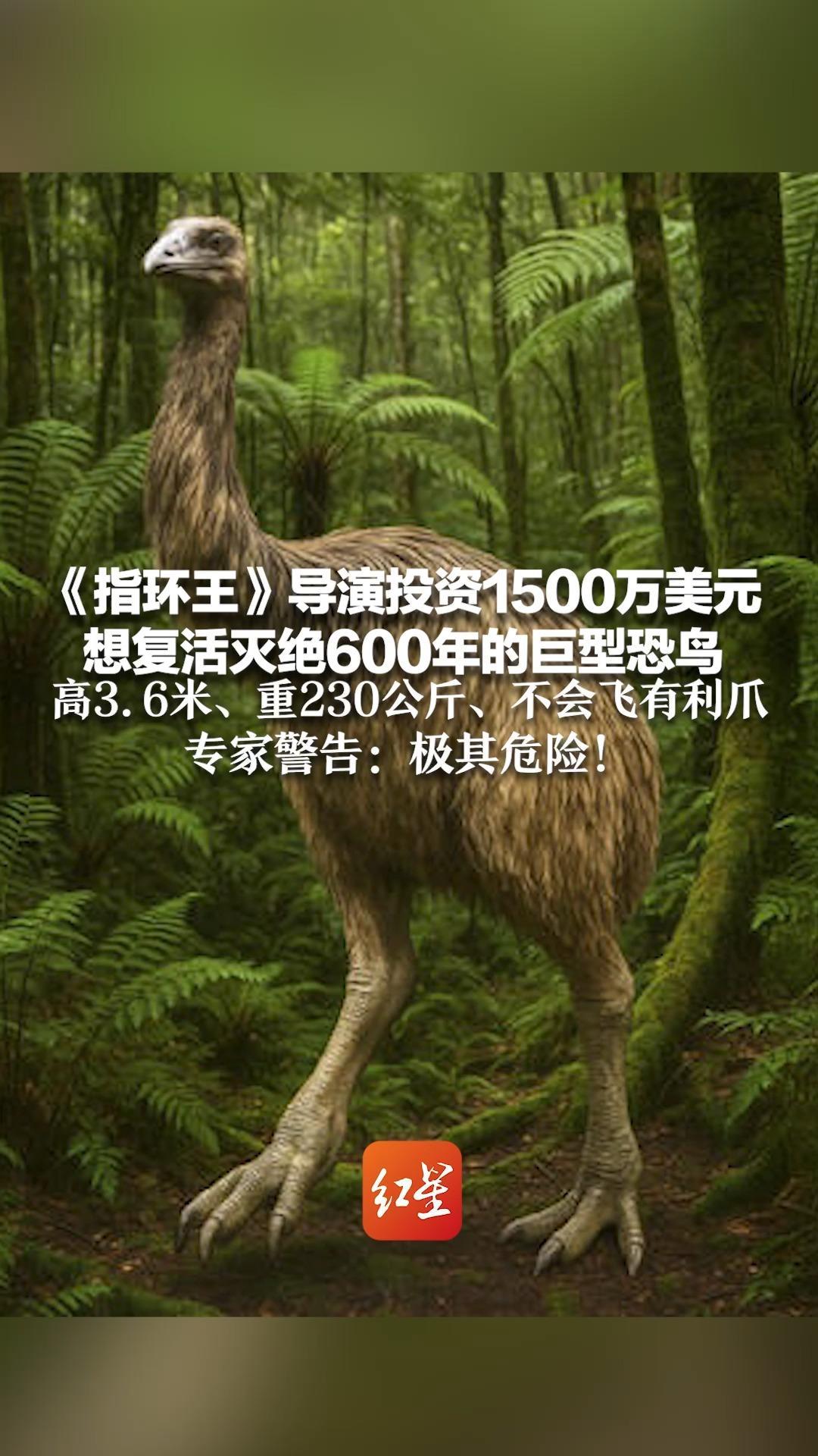 《指环王》导演投资1500万美元 想复活灭绝600年的巨型恐鸟 高3.6米、重230公斤、不会飞有利爪 专家警告：极其危险