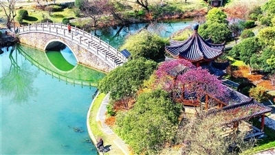 八大山人梅湖景区。图源：南昌晚报