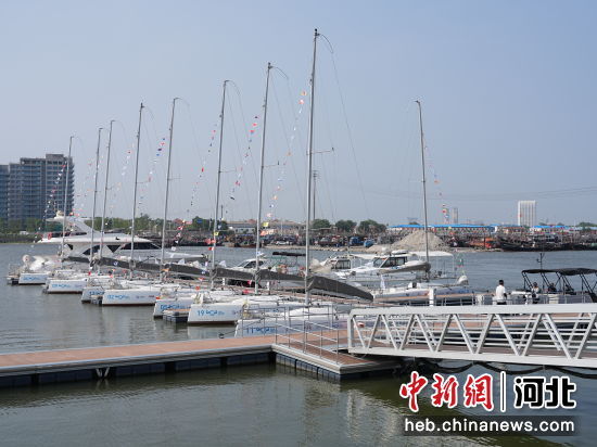 图为活动现场。 朱文斌 摄