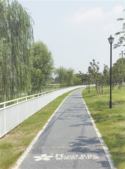 湖边的滨水步道