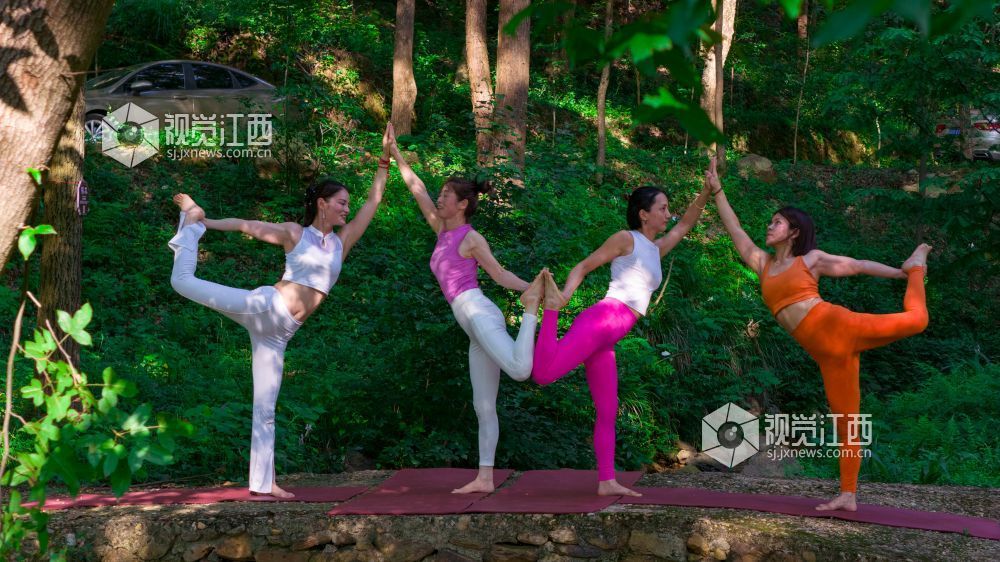 2025年7月5日在江西省吉安市新干县云峰岭林场拍摄的画面。