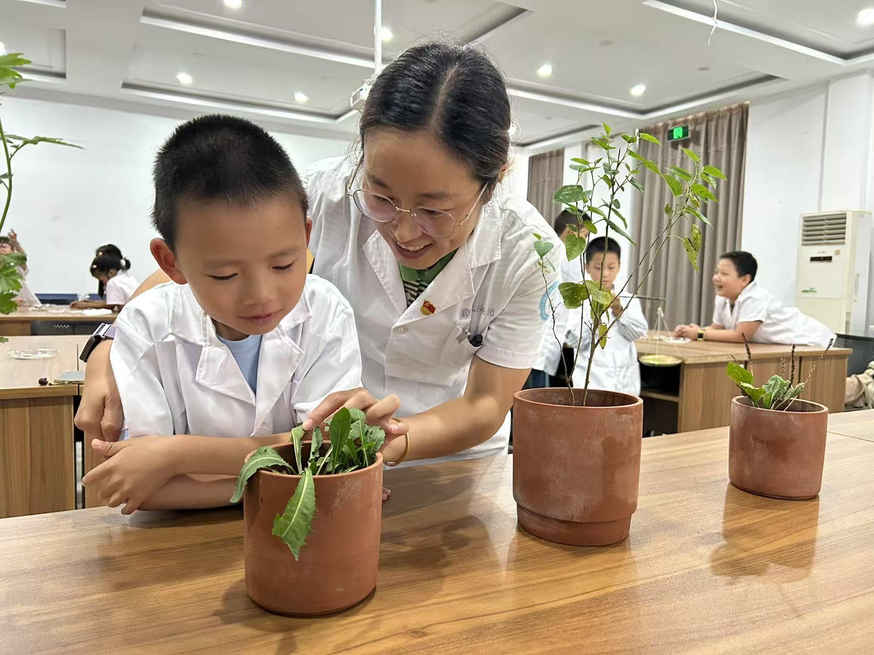 江北工会让小候鸟传承中华医药文化
