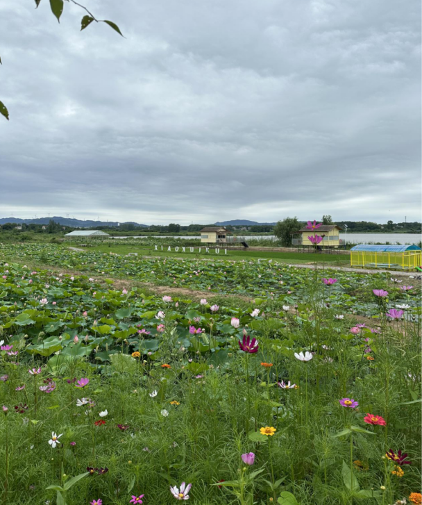 六湖山生态农庄获评湖南省四星级乡村旅游区（点） 打造农文旅融合发展的“华容样板”