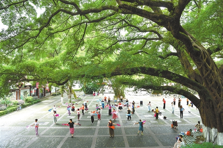 赣州：市民乐享“绿色福利”（图）