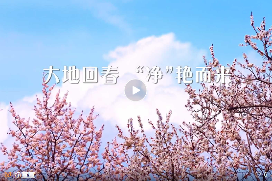 点击图片打开视频