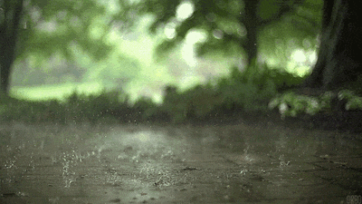 t019abc216d1edf60f7.gif