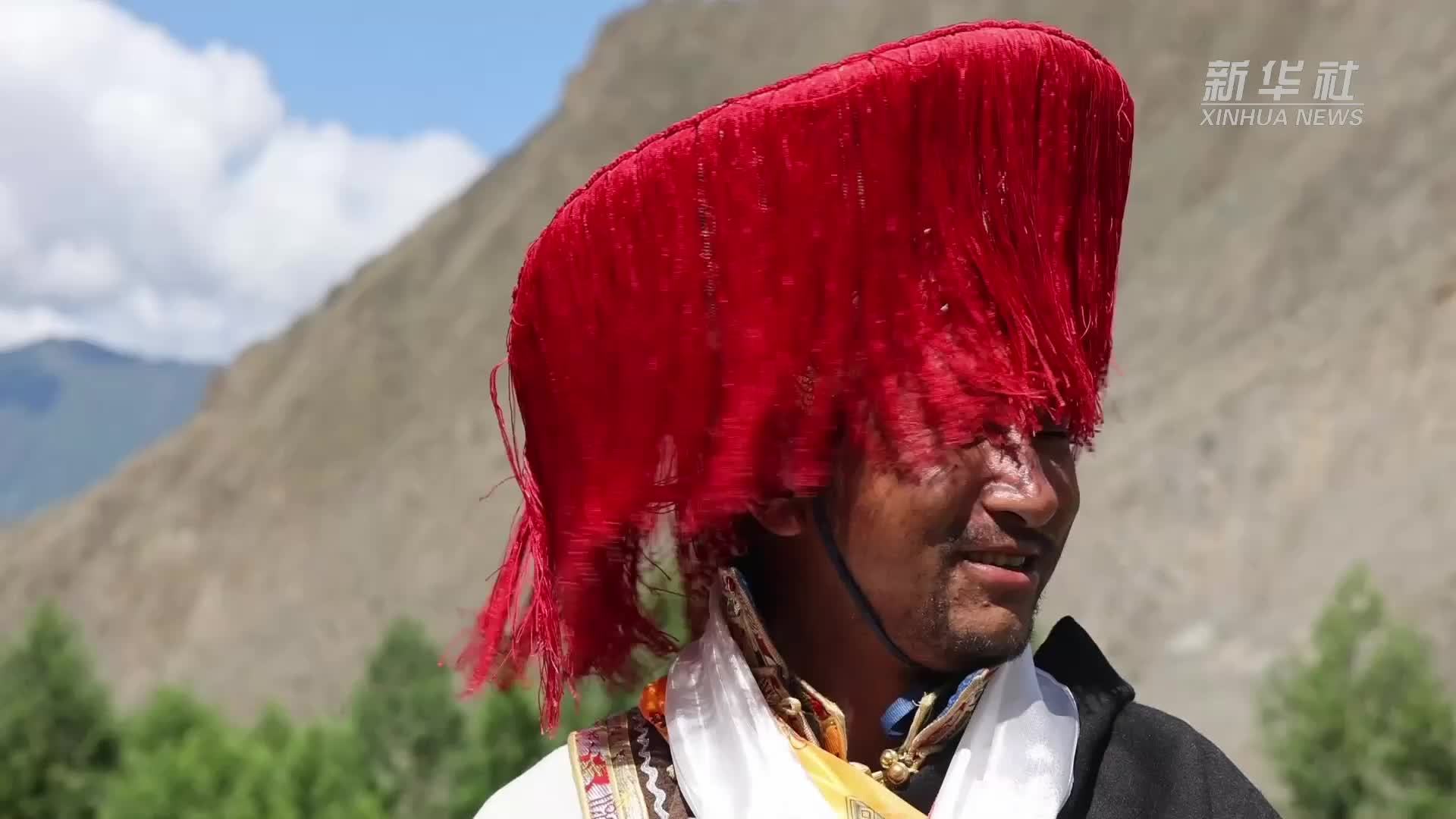 西藏加查：青稞田里迎丰收