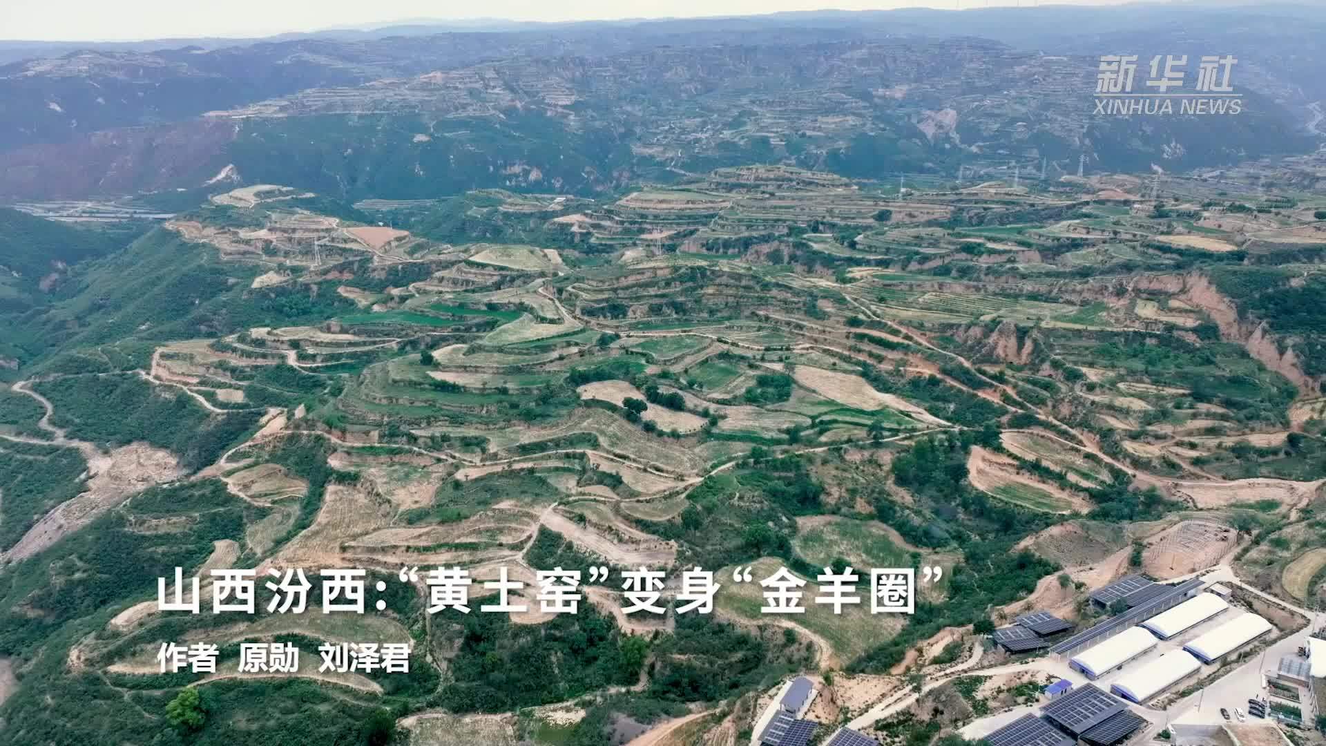 山西汾西：“黄土窑”变身“金羊圈”