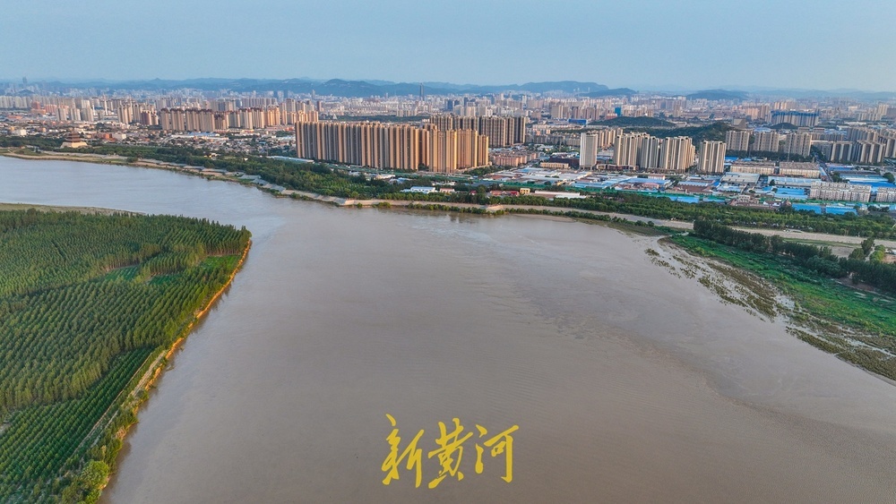 黄河持续大流量高水位运行，夕阳西下河面洒满金光