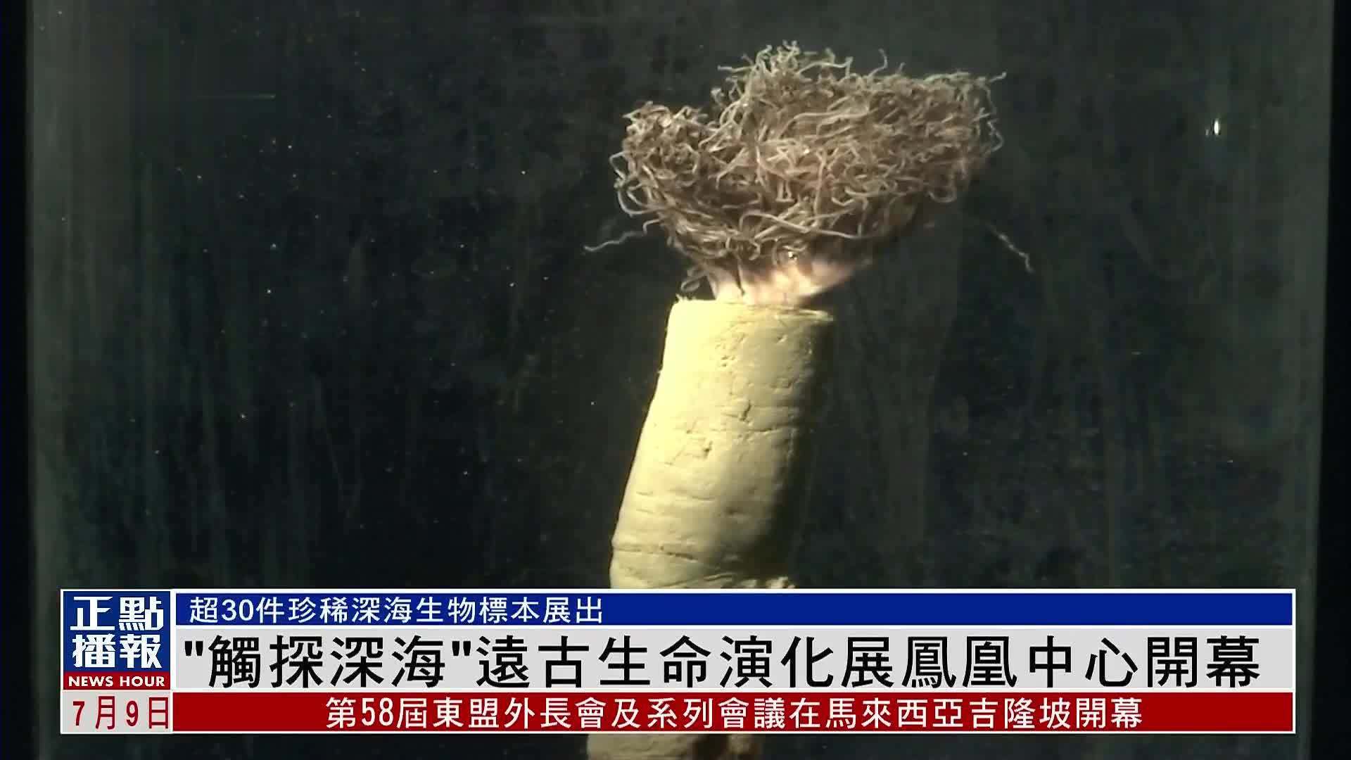 “触探深海”远古生命演化展凤凰中心开幕