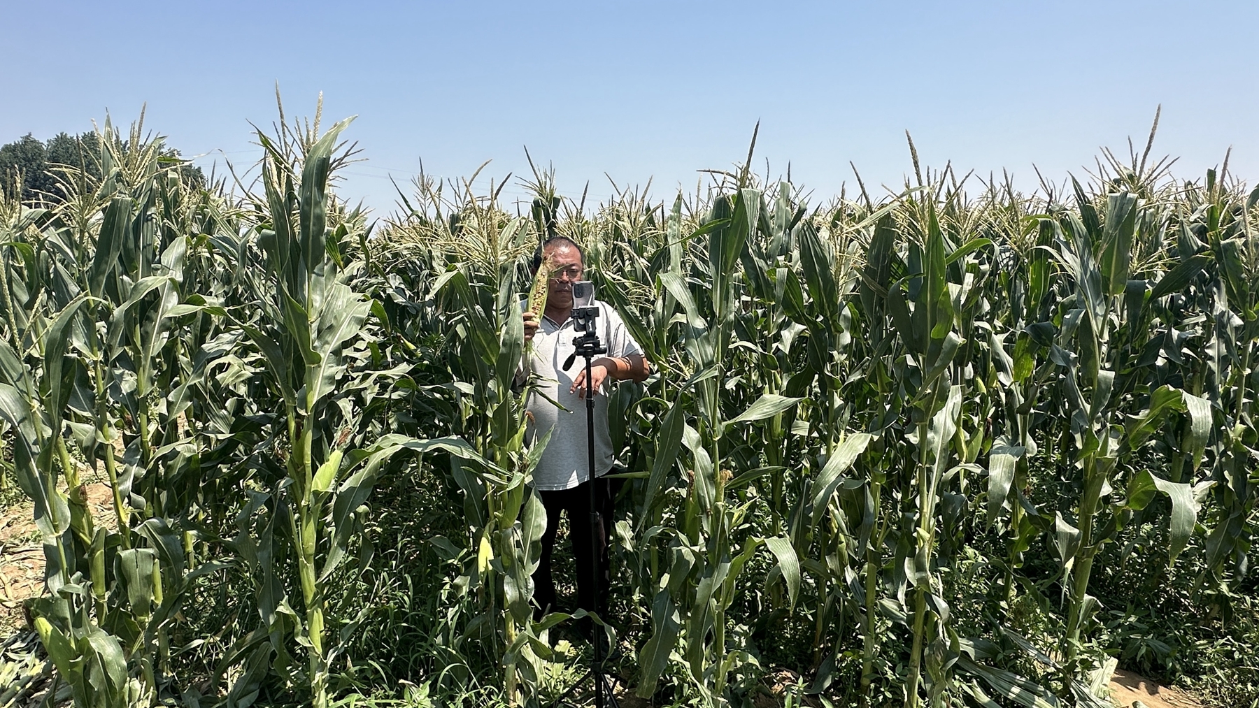 青岛乡里乡亲|王光锋:从蔬菜批发商到助农带头人