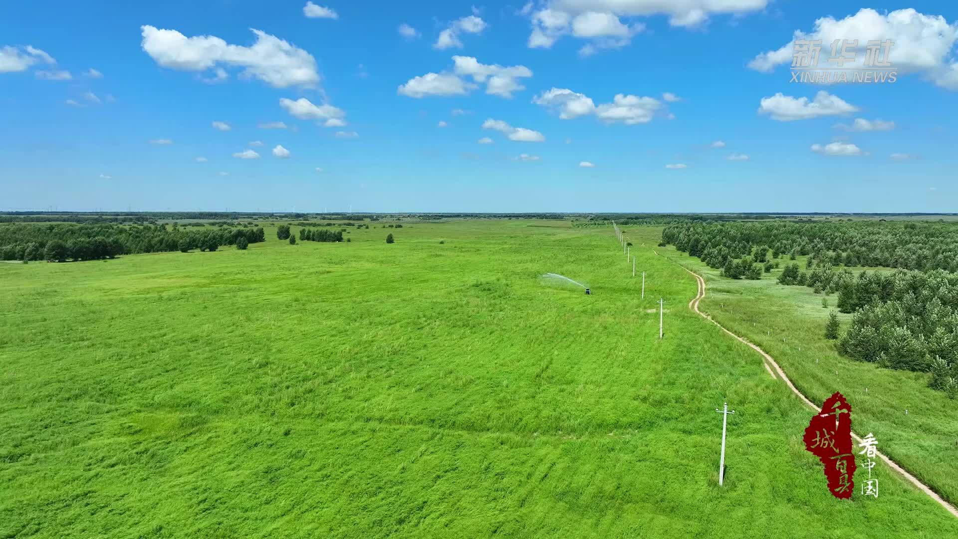 千城百县看中国｜内蒙古：科左中旗吹起“绿旋风”