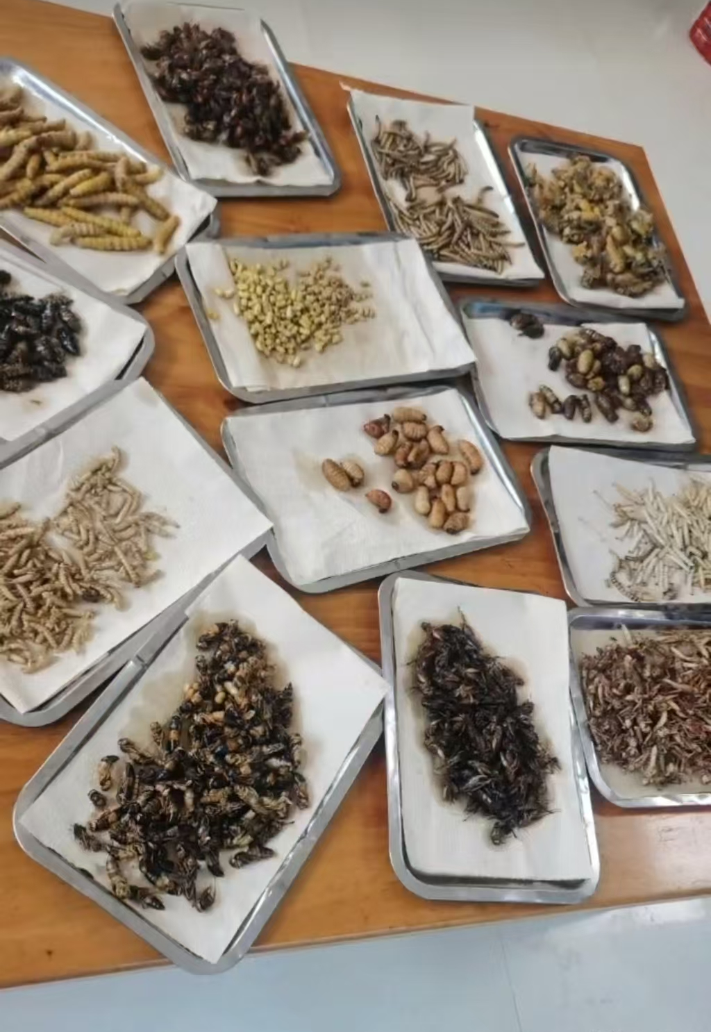 视频中出现的菜品和食材图片(当事人供图)