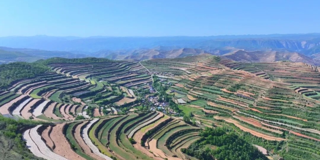 漳县武当乡李家河村中药材种植基地（漳县融媒体中心供图）