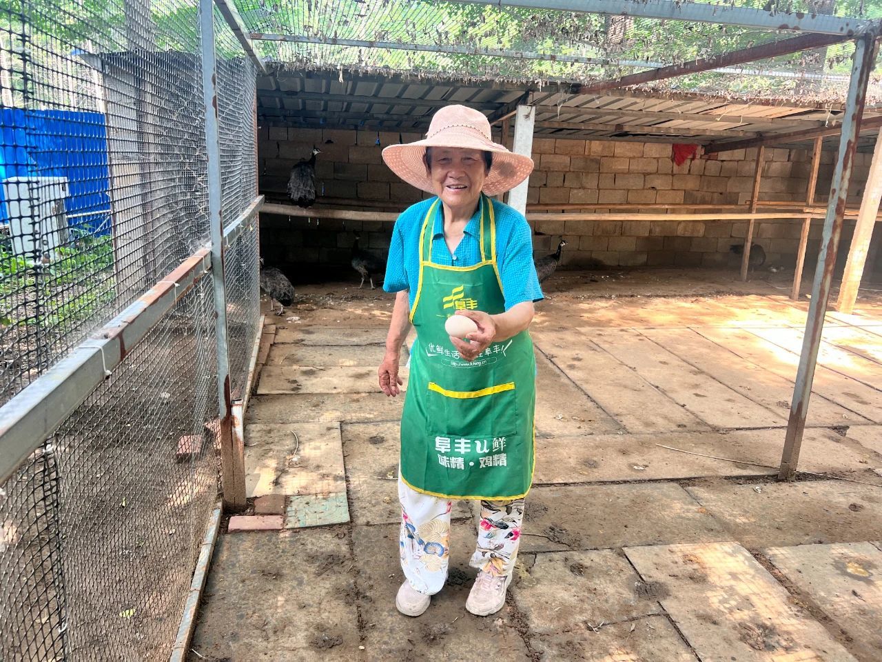 小宠物串起新沂乡村振兴新密码