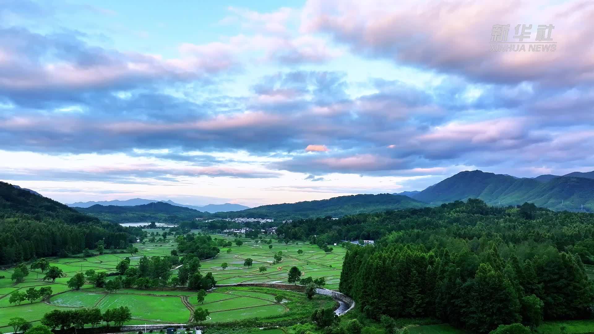 安徽黟县：夏日塔川绿意浓